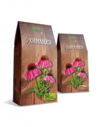 Эхинацея(2)